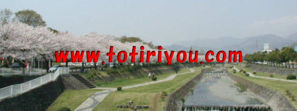 www.totiriyou.com